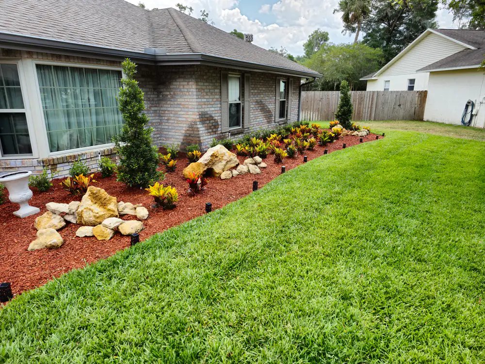 A curved red mulch bed with crotons, boulders, and fresh green sod along a brick home