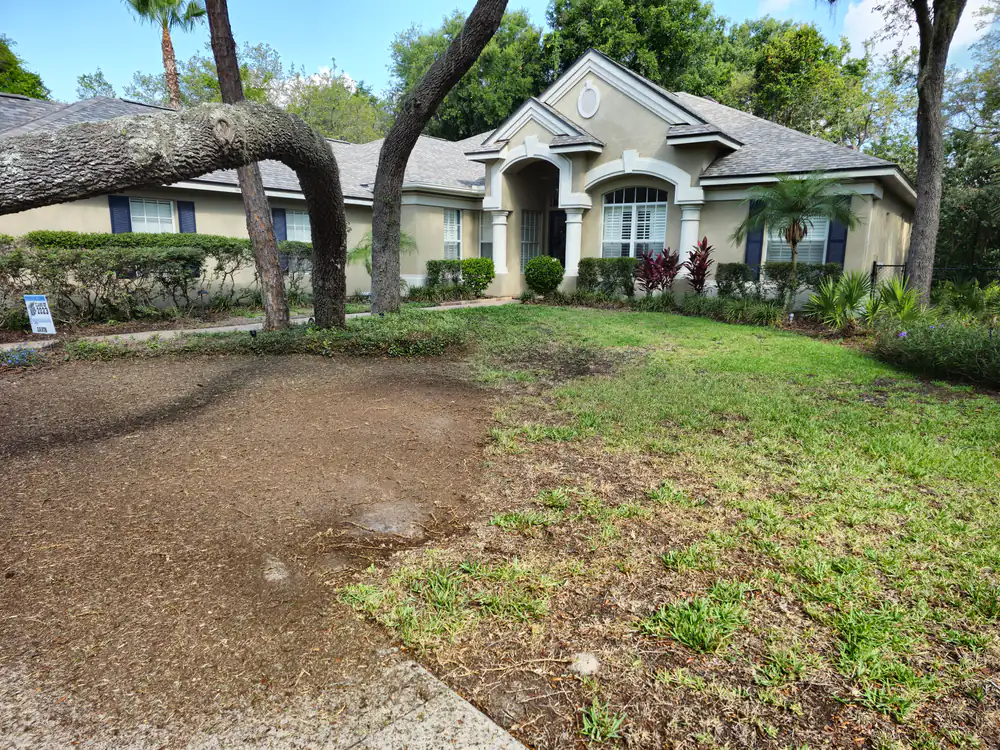 A front lawn with a large brown dead patch in front of a beige stucco house