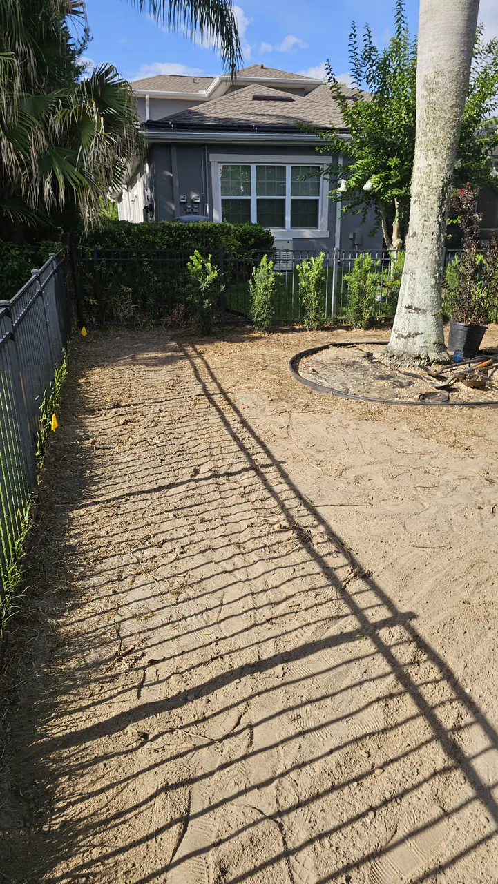 A tilled bare soil yard along an iron fence with a palm trunk and a garden hose