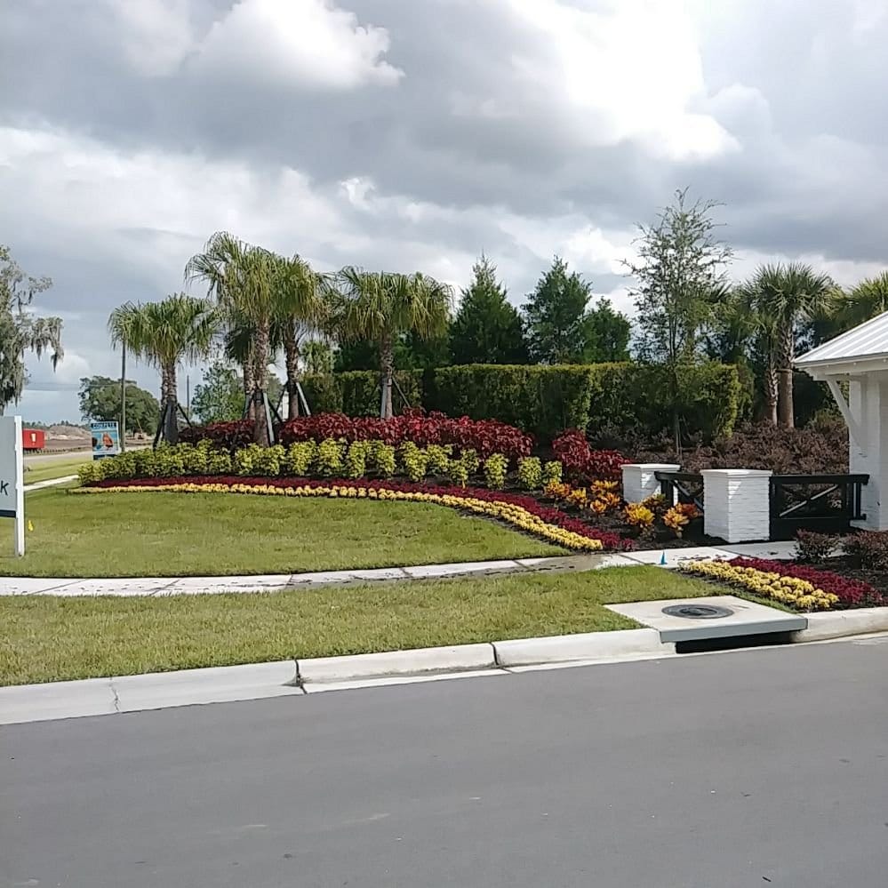 A curved, freshly planted community entrance bed with palms and flowering annuals