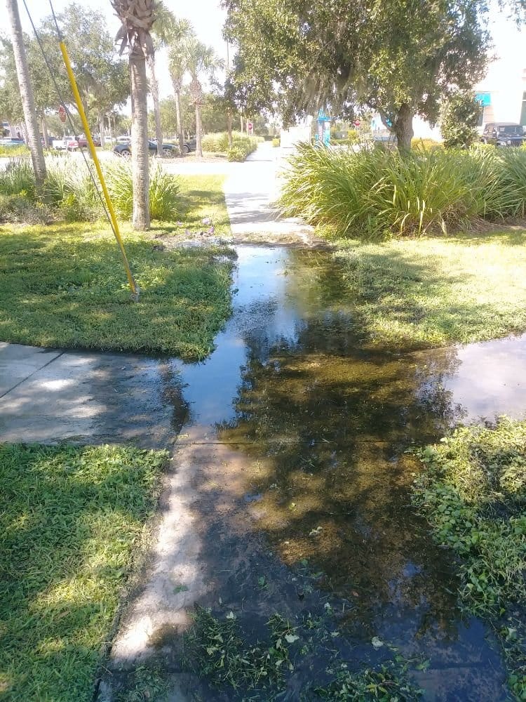 Standing water Woods corrected at a commercial property entrance