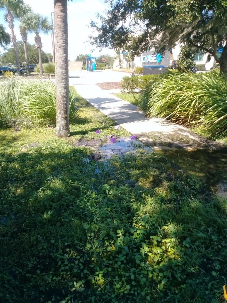 Pooled water along a commercial sidewalk near a bank entrance