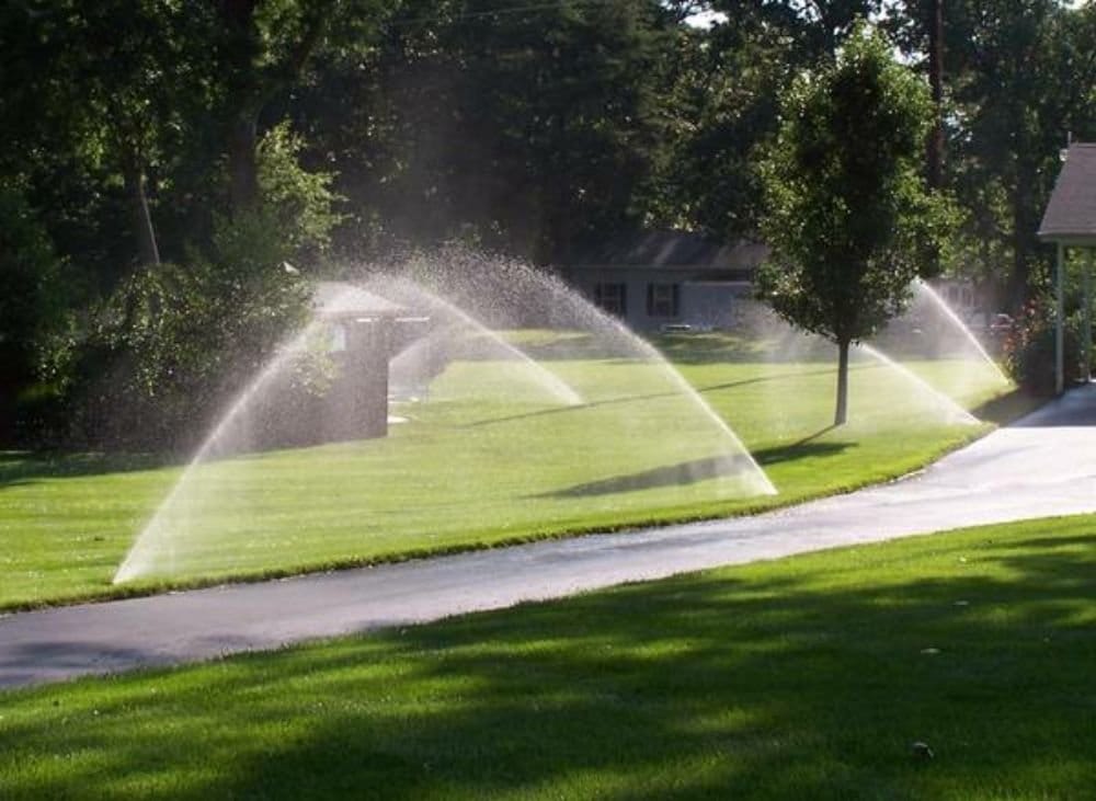 Multiple sprinkler zones running across a healthy green residential lawn at golden hour