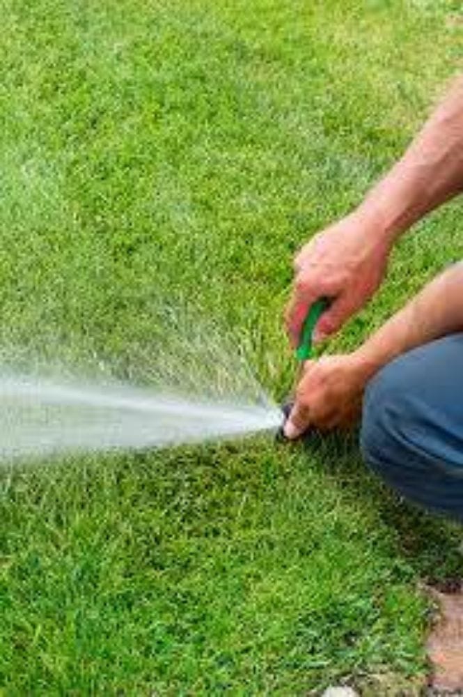 Hands adjusting a spray head in a green lawn while it runs