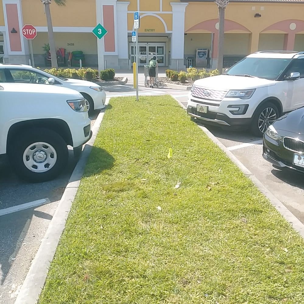 A maintained landscaped median in a commercial parking lot