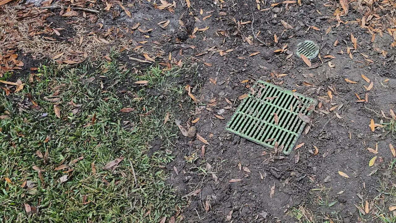 Two green drainage grates set flush into dark soil at the edge of a lawn, catching runoff from the yard