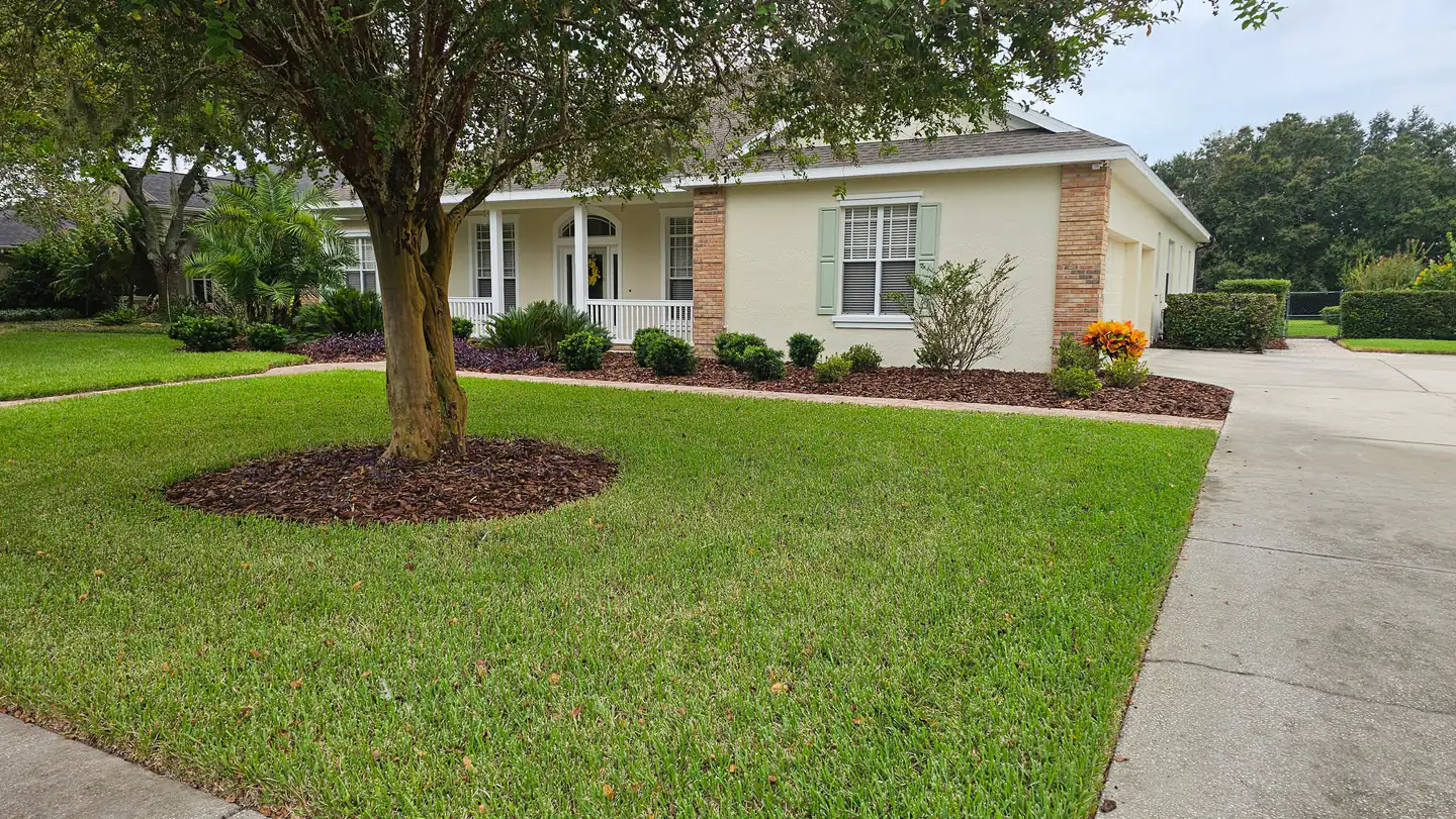 A mown front lawn with a mature shade tree in a fresh mulch ring, beside clipped shrubs in mulched beds along a covered porch and driveway