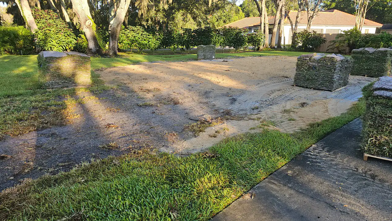 Two pallets of fresh rolled sod stacked on a graded and prepped front yard in morning light, with mature oaks and a mown lawn edge behind