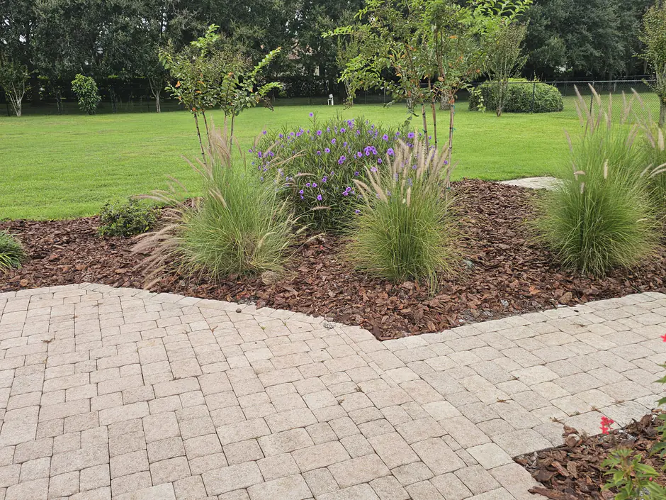 A Woods landscape design with a paver patio, a mulched island bed of ornamental grasses and purple flowers, and a broad green lawn